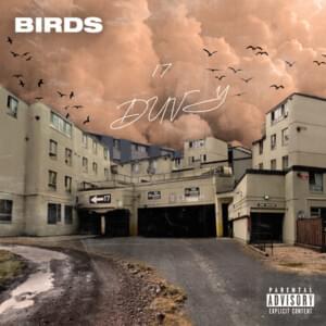 Birds - Duvy