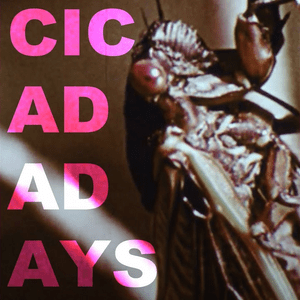 Cicada Days - Will Wood