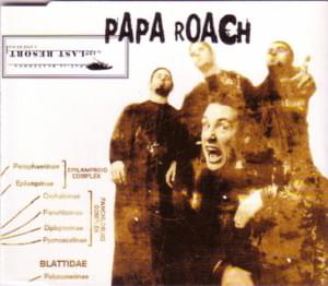 Papa Roach - Last Resort (Deutsche Übersetzung) - Lyrxo Deutsche Übersetzungen