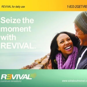 1-833-2GET-REV (REVIVAL Voicemail) - Eminem