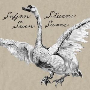 We Won’t Need Legs to Stand - Sufjan Stevens