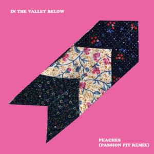 Peaches (Passion Pit Remix) - In the Valley Below