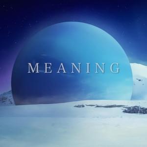 Meaning - Nathan Wagner