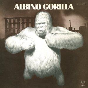 Going to a Go Go - Albino Gorilla