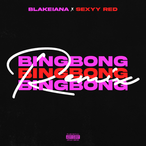 BING BONG (Remix) - BlakeIANA (Ft. Sexyy Red)