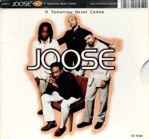 If Tomorrow Never Comes - Joose