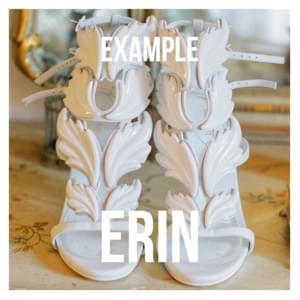 Erin - Example