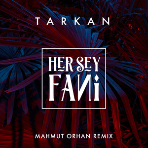 Her Şey Fani (Mahmut Orhan Remix) - Tarkan