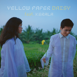 Yellow Paper Daisy - When Chai Met Toast