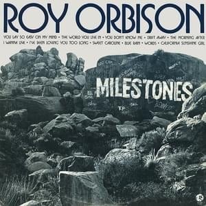 You Don’t Know Me - Roy Orbison