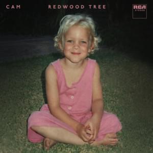 Redwood Tree - Cam