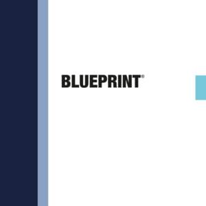 BLUEPRINT - KALIM