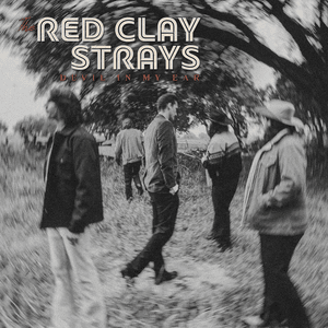 Devil In My Ear - The Red Clay Strays