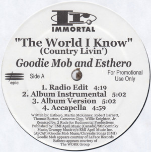 The World I Know (Country Livin’) [Accapella] - Goodie Mob and Esthero