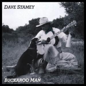 Desert Blues - Dave Stamey