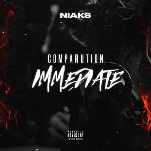 Comparution immédiate - Niaks