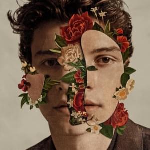 Shawn Mendes - Fallin’ All in You (Traducción al Español) - Lyrxo Traducciones al Español