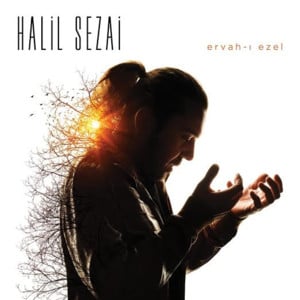 Git - Halil Sezai