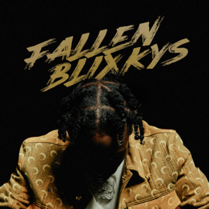 Fallen Blixkys - 22Gz