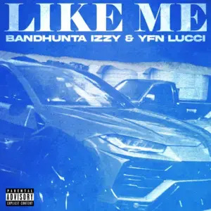 Like Me - YFN Lucci & Bandhunta Izzy