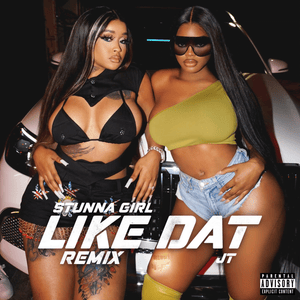 Like Dat Remix - Stunna Girl (Ft. JT)