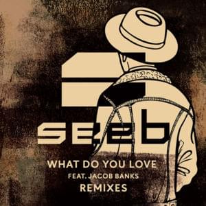 What Do You Love (Broiler Remix) - Seeb (Ft. Jacob Banks)