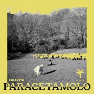 Paracetamolo (TY1 Remix) - Calcutta