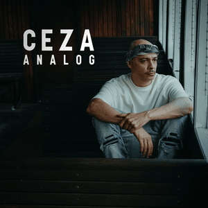 Analog - Ceza