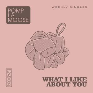 What I Like About You - Pomplamoose