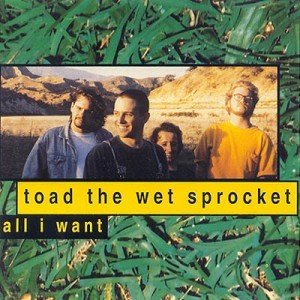 All I Want - Toad the Wet Sprocket