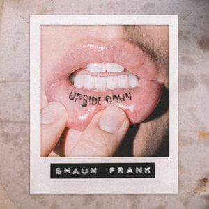 Upsidedown - Shaun Frank