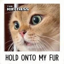 Hold Onto My Fur - The Kiffness