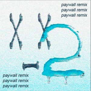 ​x_x 2 (paywall remix) - PAYWALL