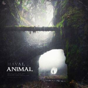 ANIMAL - HAVAL