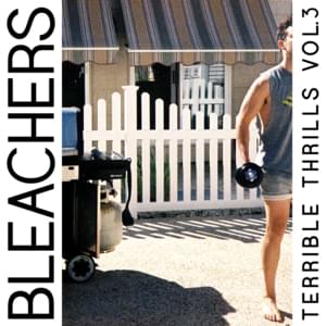 Mickey Mantle Comes Alive - Bleachers