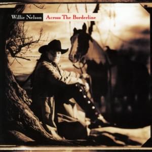 What Was It You Wanted - Willie Nelson