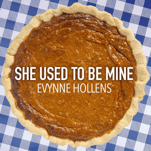 She Used to Be Mine - Evynne Hollens