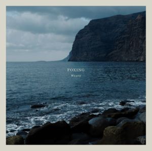 Weave - Foxing