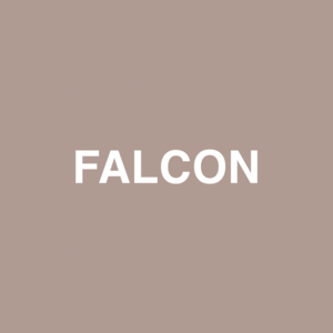 Falcon - Jaden (Ft. Raury)