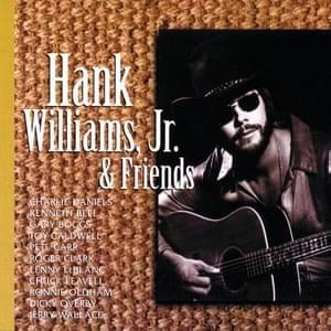 I Really Did - Hank Williams Jr.