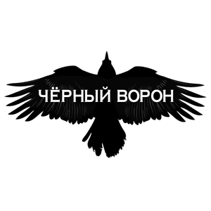 ЧЁРНЫЙ ВОРОН (BLACK RAVEN) - SHAMAN