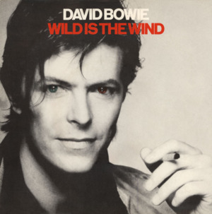 Wild Is the Wind - David Bowie