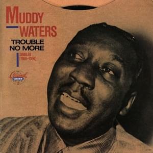 Take The Bitter With The Sweet (Single Version) - Muddy Waters