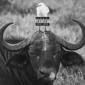 Buffalo - Nessyou