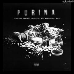 PURINA - PXXR GVNG (Ft. Axton, Dmo Sikosis & Marko Italia)