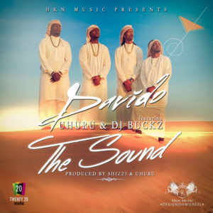 The Sound - Davido (Ft. Dj Buckz & Uhuru)