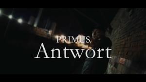 Antwort - Primus