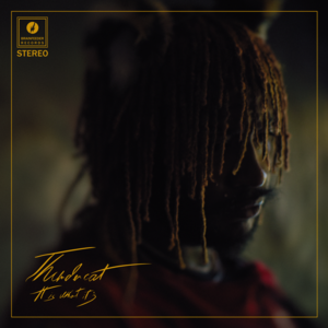 It Is What It Is - Thundercat (Ft. Pedro Martins)