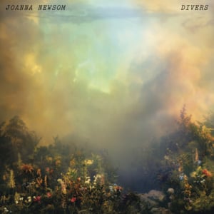 The Things I Say - Joanna Newsom