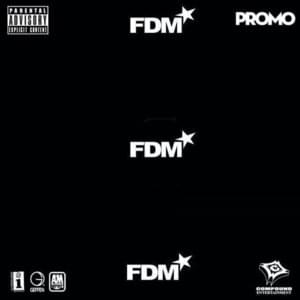 Future In You - FDM